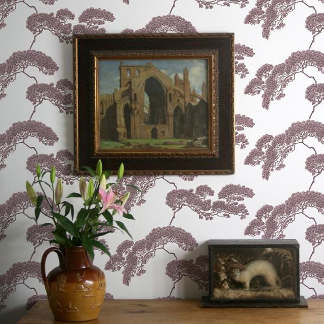 Timorous Beasties on Twitter Our Thistle Wallpaper enjoying its new  surroundings Big Thanks to a client in Bonnie Scotland for sending the pic  httpstco6MnvyDAG04 httpstcoevHYSNFNNL  Twitter